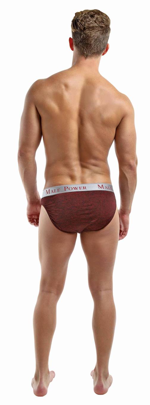 MP471222 Malepower Panel Bikini - Wine/Black