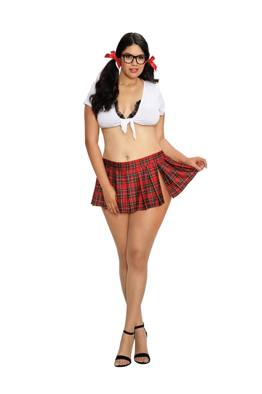 DG11046X Dreamgirl Exotic Dancewear Bedroom Schoolgirl Costumes