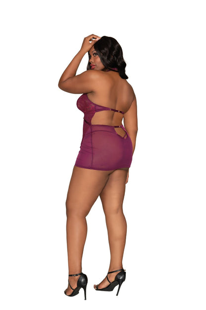 DG12446X Dreamgirl Exotic Dancewear Lingerie