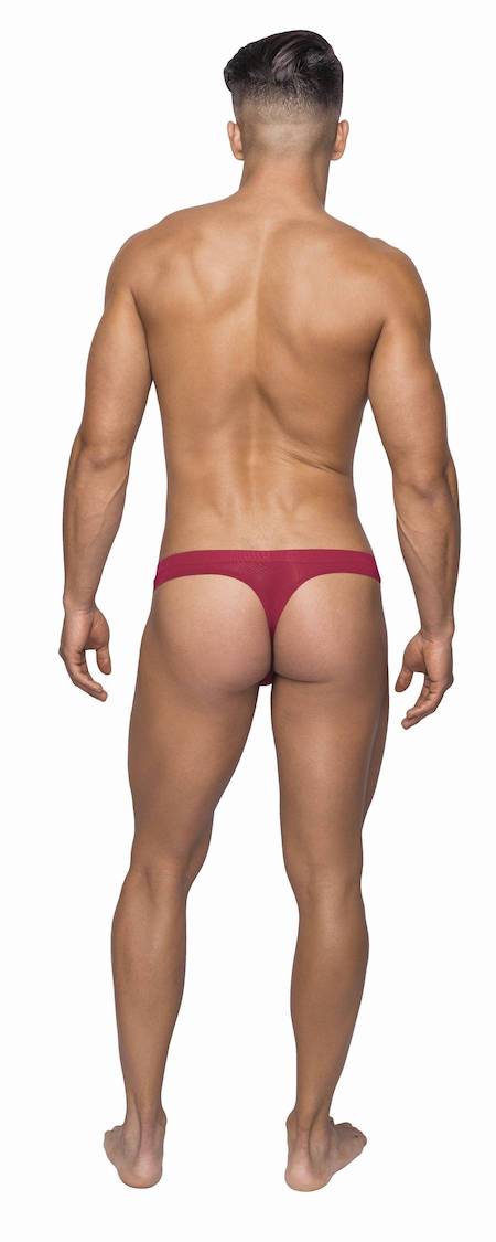 mpsms007 malepower sleek thong w sheer pouch wine